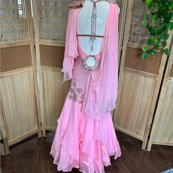 Chrisanne Couture Pink Ballroom Gown with Removable Standard Floats - Picture 9 of 9